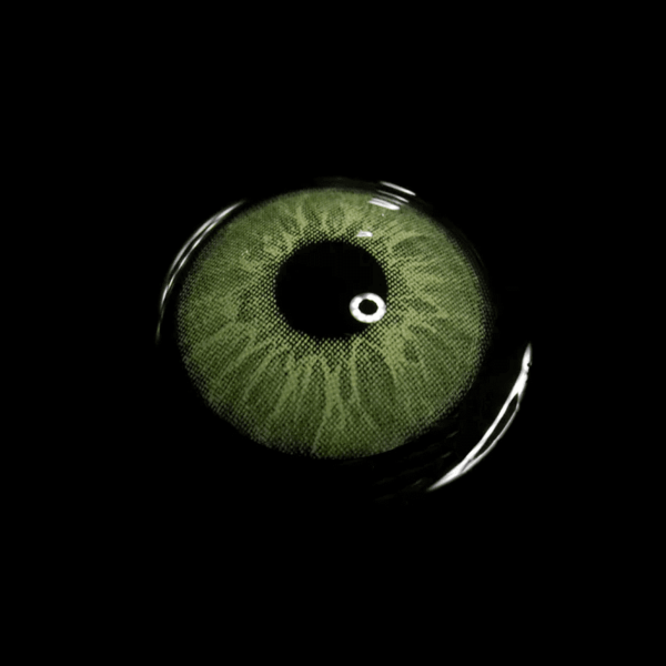 2b8ce46798d78ec2801367e08e24d631