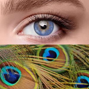 Wildness Contact Lenses