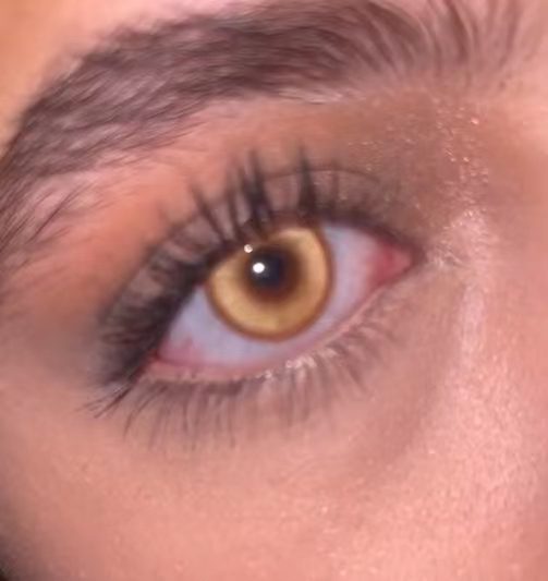 Ethereal Brown Fotobericht